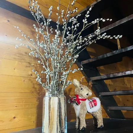 Horská chata Adriana *